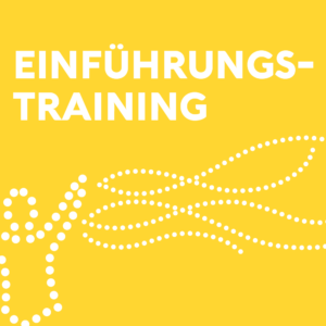 Einführungstraining